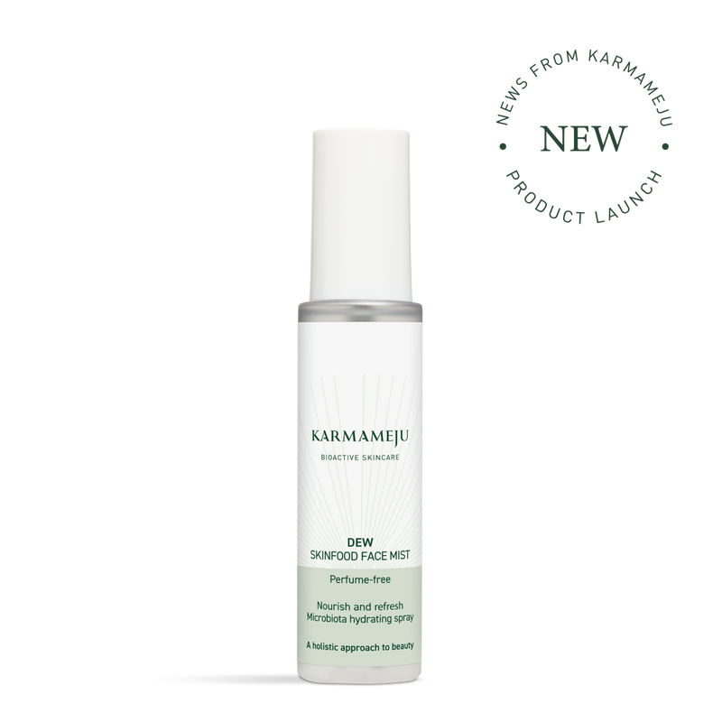 DEW skinfood face mist