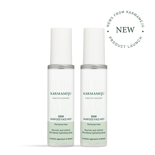 DEW skinfood face mist X 2