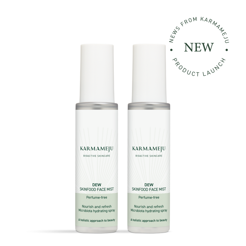 DEW skinfood face mist X 2