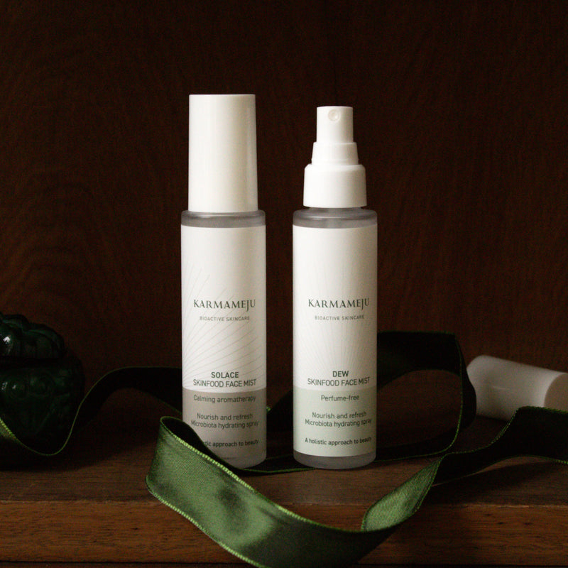 DEW skinfood face mist